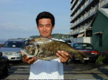 7/8�^�c����̔N����