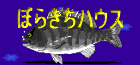 �N���_�C�ނ�𒆐S�ɁA�D�`�{�[�g�ƕ��L���ނ���y���ނڂ炫������̃T�C�g�B���e���[�����Ă��ĂƂĂ��y�����I