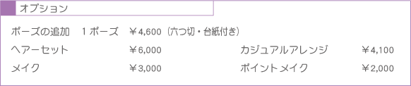 オプション料金表