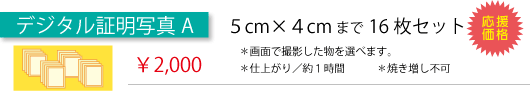 証明写真A