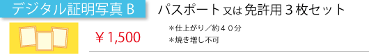 証明写真B