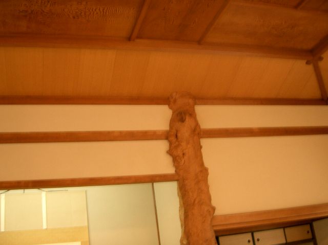 ̏̎̕n