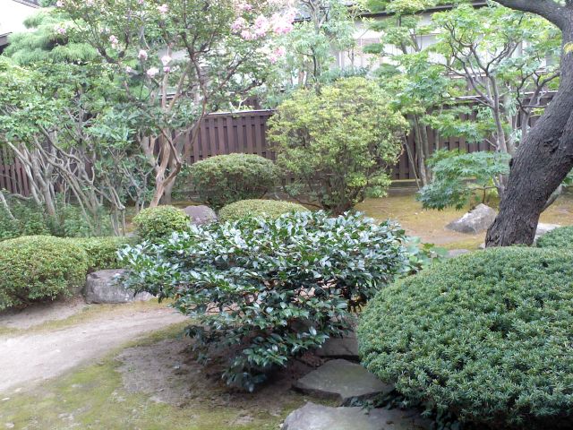E뉀