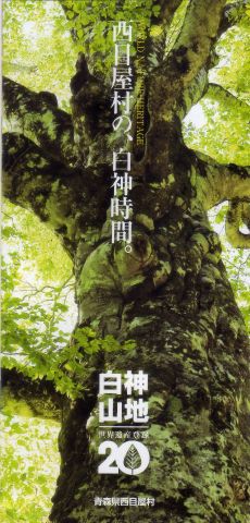 白神山地のパンフ