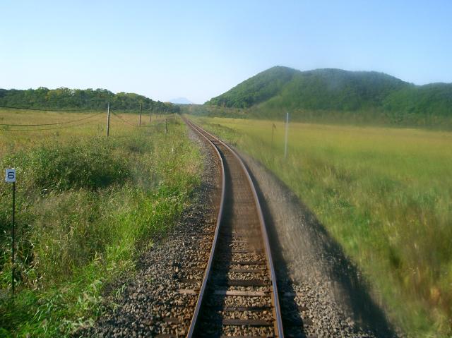 湿原地帯の真ん中を走る列車