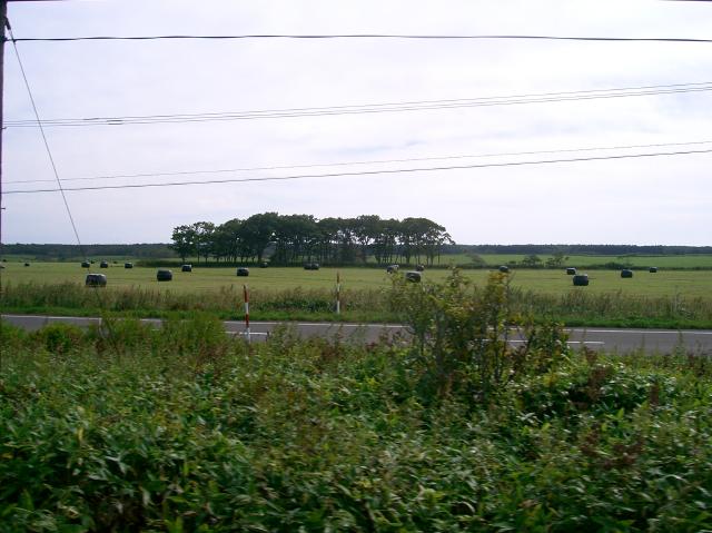 姉別駅近くの牧草ロールがころがっている風景