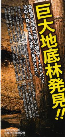 三瓶小豆原埋没林のパンフ