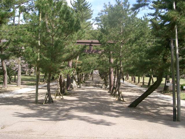 松の参道