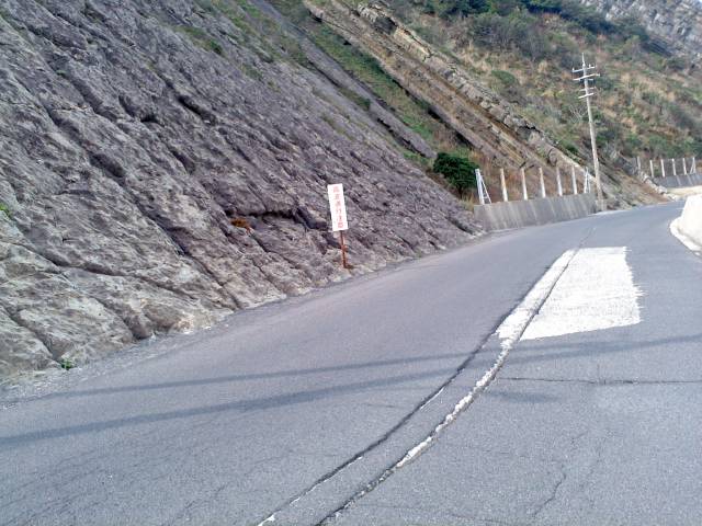 Dݑw̋}ȊR