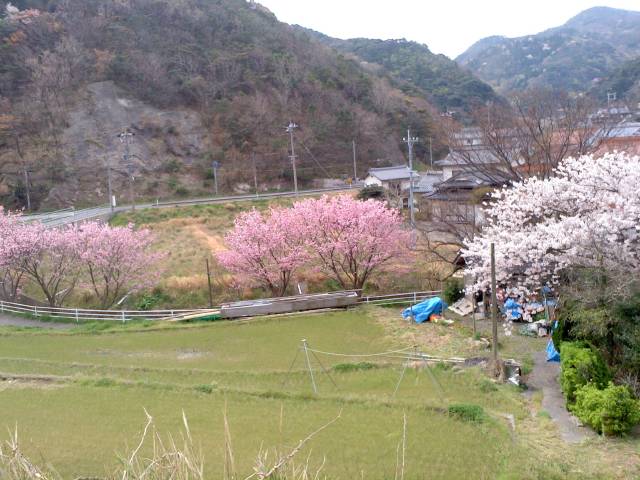 rŌꂢȍ