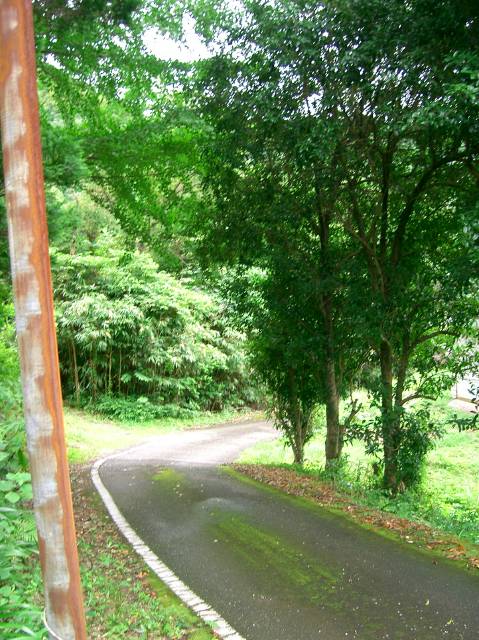 新改駅に至る道