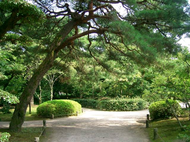 よく手入れされている園庭