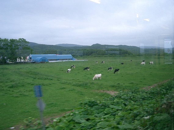 南幌延での牧場