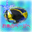 お魚のページへ♪