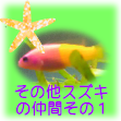 いろんなスズキ目のお魚のページ