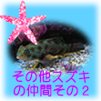 その他のスズキ目のお魚たちのペーじ